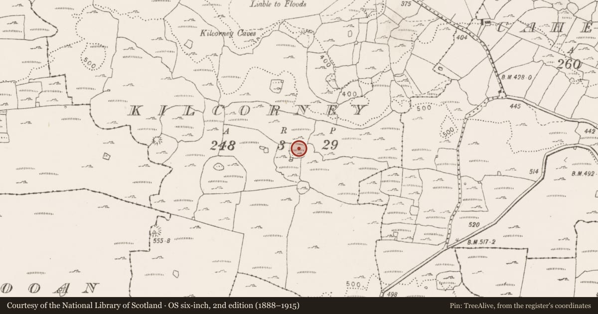Ordnance Survey six-inch map, 2nd edition (1888–1915) covering the location of Enclosure, Kilcorney, County Clare, with a pin at the register's coordinates
