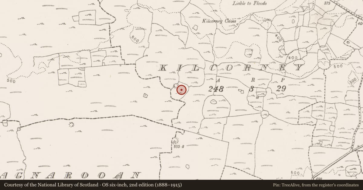 Ordnance Survey six-inch map, 2nd edition (1888–1915) covering the location of Enclosure, Lissylisheen, Kilcorney, County Clare, with a pin at the register's coordinates
