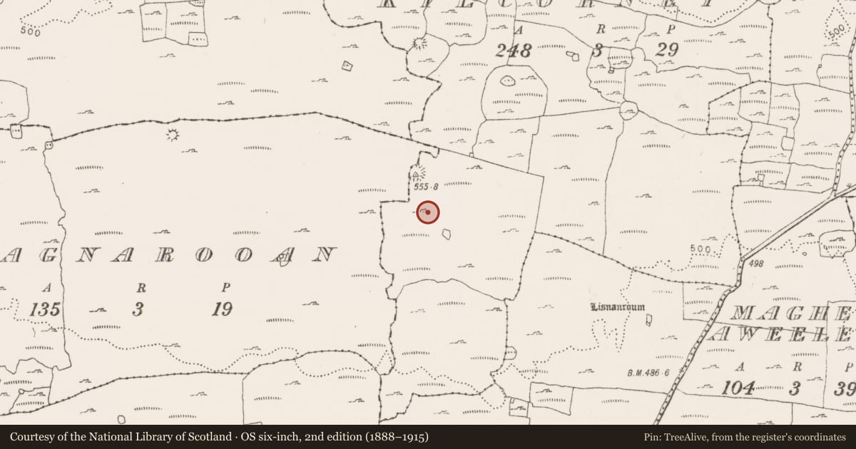 Ordnance Survey six-inch map, 2nd edition (1888–1915) covering the location of Cairn - unclassified, Kilcorney, County Clare, with a pin at the register's coordinates