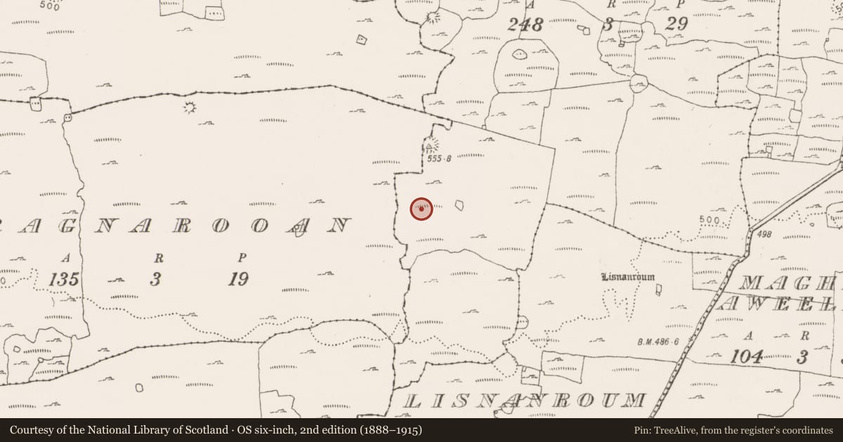 Ordnance Survey six-inch map, 2nd edition (1888–1915) covering the location of Cairn - unclassified, Kilcorney, County Clare, with a pin at the register's coordinates