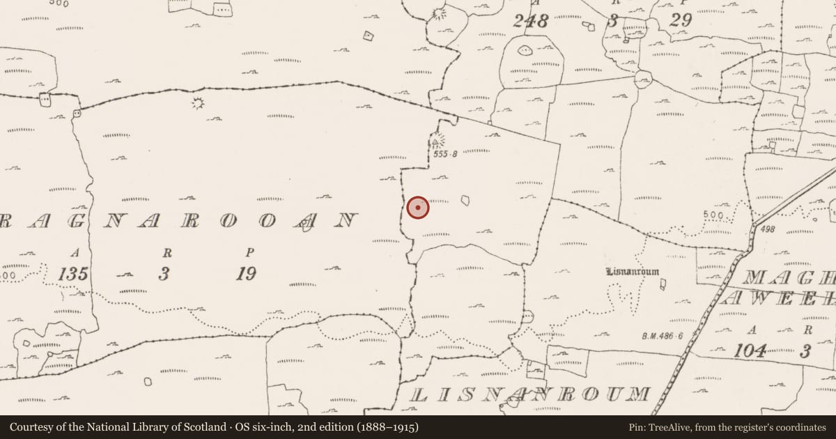 Ordnance Survey six-inch map, 2nd edition (1888–1915) covering the location of Enclosure, Kilcorney, County Clare, with a pin at the register's coordinates