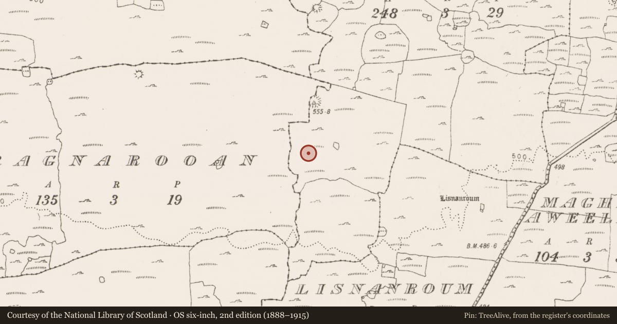 Ordnance Survey six-inch map, 2nd edition (1888–1915) covering the location of Enclosure, Kilcorney, County Clare, with a pin at the register's coordinates