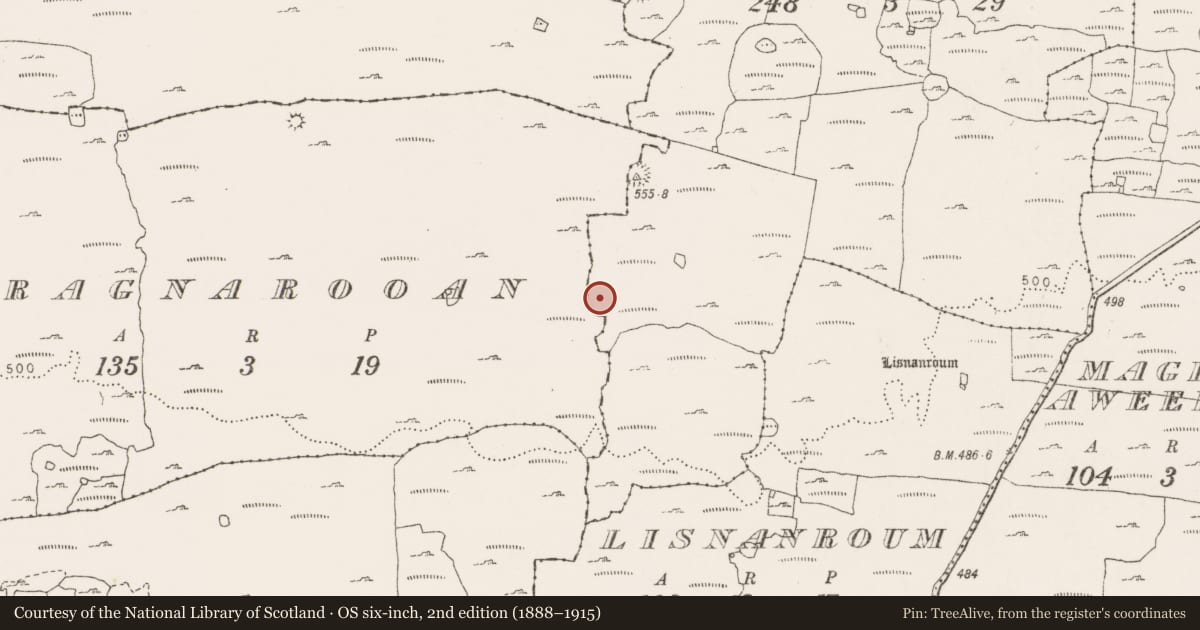 Ordnance Survey six-inch map, 2nd edition (1888–1915) covering the location of Enclosure, Kilcorney, County Clare, with a pin at the register's coordinates