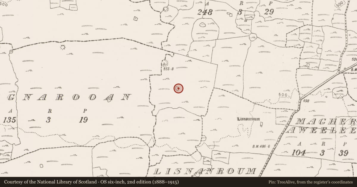 Ordnance Survey six-inch map, 2nd edition (1888–1915) covering the location of Enclosure, Kilcorney, County Clare, with a pin at the register's coordinates