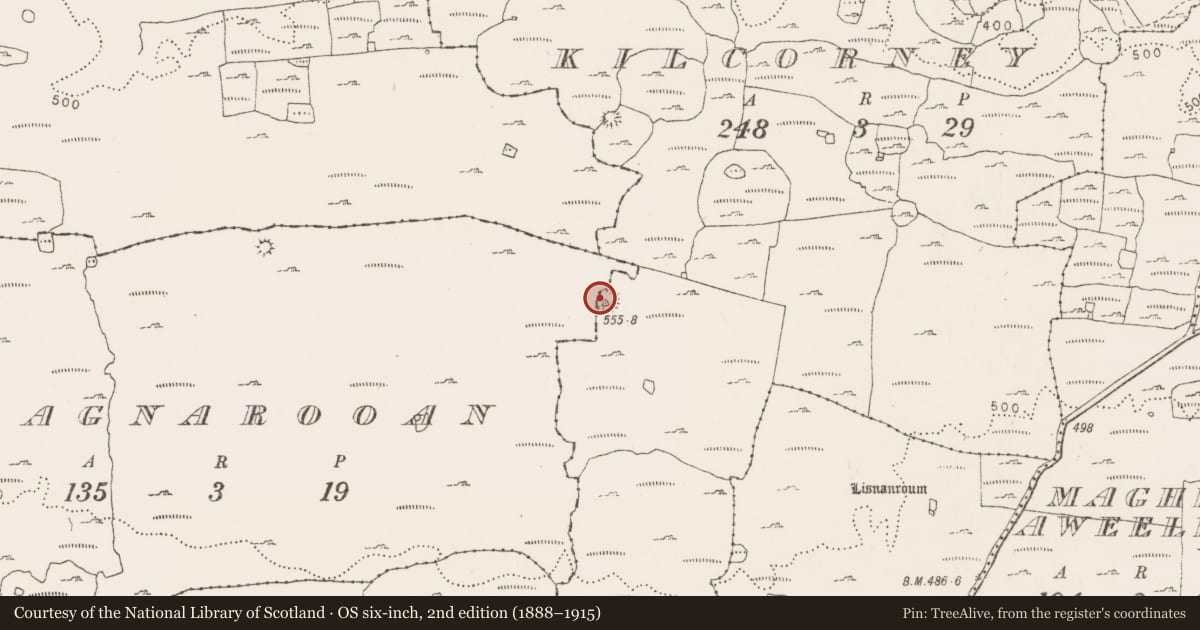 Ordnance Survey six-inch map, 2nd edition (1888–1915) covering the location of Souterrain, Cragnarooan, County Clare, with a pin at the register's coordinates
