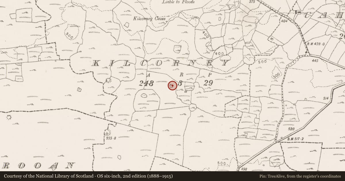 Ordnance Survey six-inch map, 2nd edition (1888–1915) covering the location of Enclosure, Kilcorney, County Clare, with a pin at the register's coordinates
