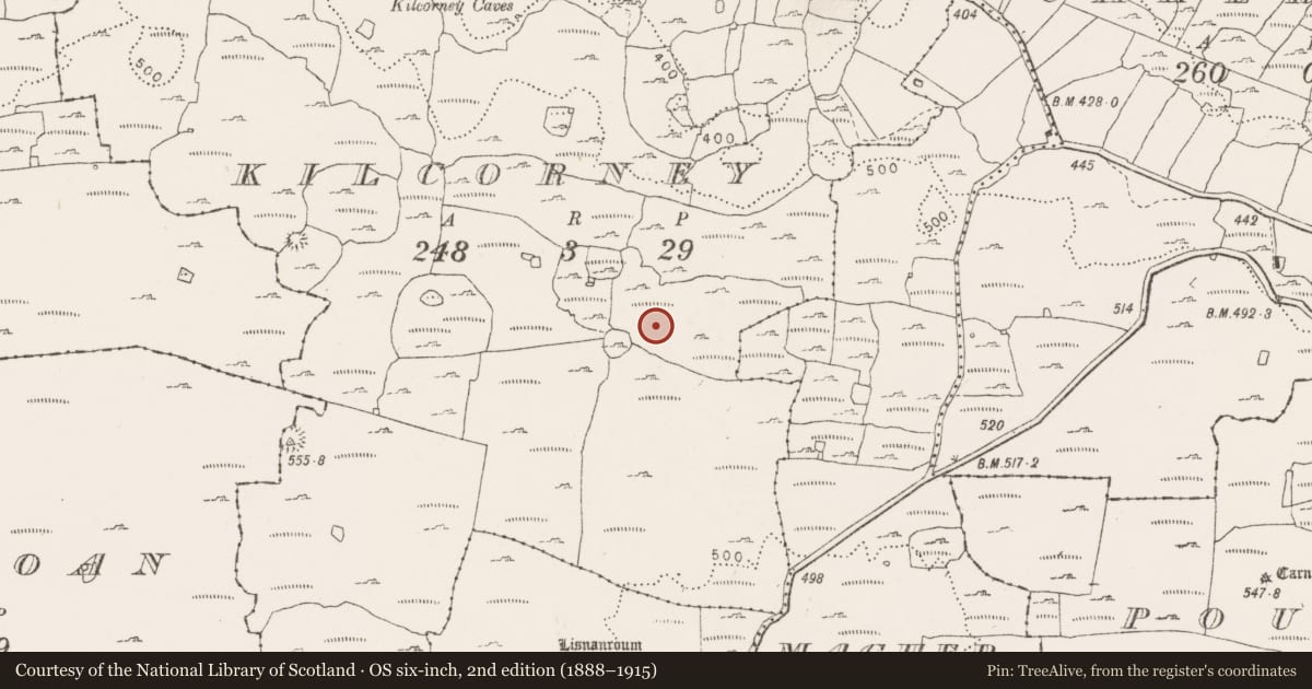 Ordnance Survey six-inch map, 2nd edition (1888–1915) covering the location of Enclosure, Kilcorney, County Clare, with a pin at the register's coordinates