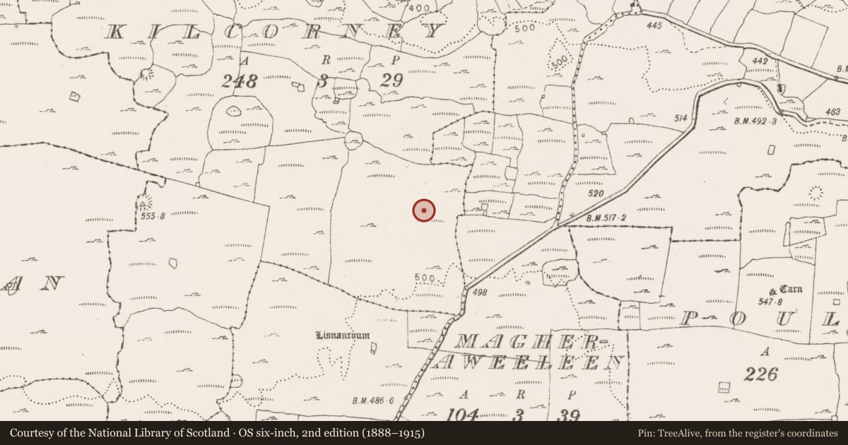 Ordnance Survey six-inch map, 2nd edition (1888–1915) covering the location of Stone circle, Kilcorney, County Clare, with a pin at the register's coordinates