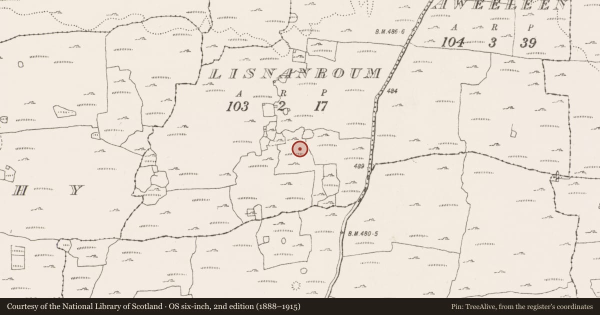 Ordnance Survey six-inch map, 2nd edition (1888–1915) covering the location of Field system, Kiltaan, Lisnanroum, County Clare, with a pin at the register's coordinates