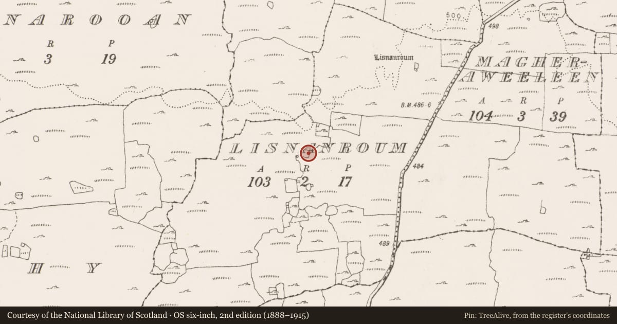 Ordnance Survey six-inch map, 2nd edition (1888–1915) covering the location of Enclosure, Lisnanroum, County Clare, with a pin at the register's coordinates
