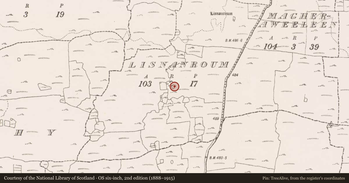 Ordnance Survey six-inch map, 2nd edition (1888–1915) covering the location of Enclosure, Lisnanroum, County Clare, with a pin at the register's coordinates