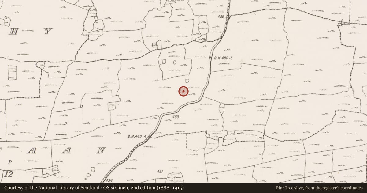 Ordnance Survey six-inch map, 2nd edition (1888–1915) covering the location of Ringfort - cashel, Kiltaan, County Clare, with a pin at the register's coordinates