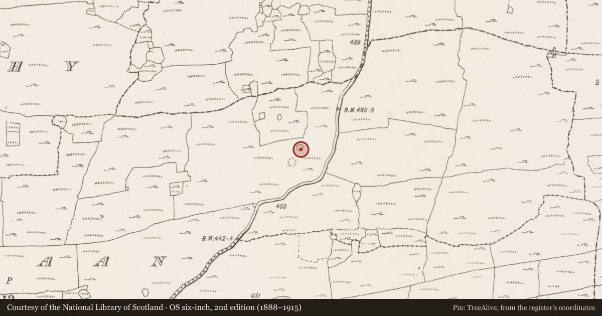 Ordnance Survey six-inch map, 2nd edition (1888–1915) covering the location of Ringfort - cashel, Kiltaan, County Clare, with a pin at the register's coordinates