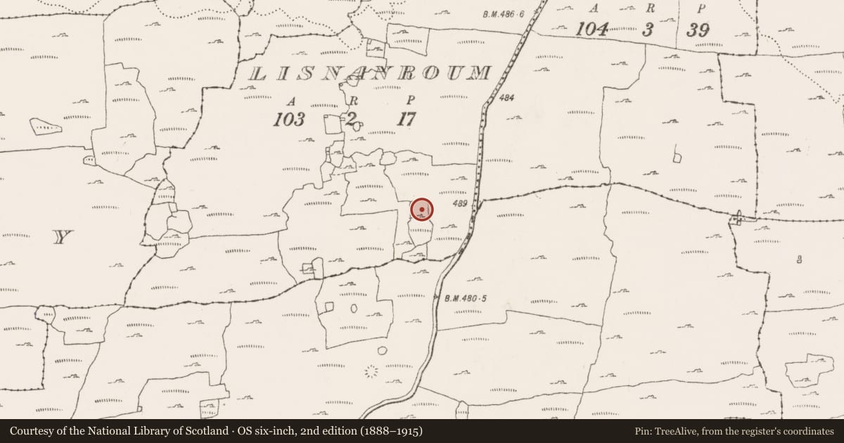 Ordnance Survey six-inch map, 2nd edition (1888–1915) covering the location of Souterrain, Lisnanroum, County Clare, with a pin at the register's coordinates