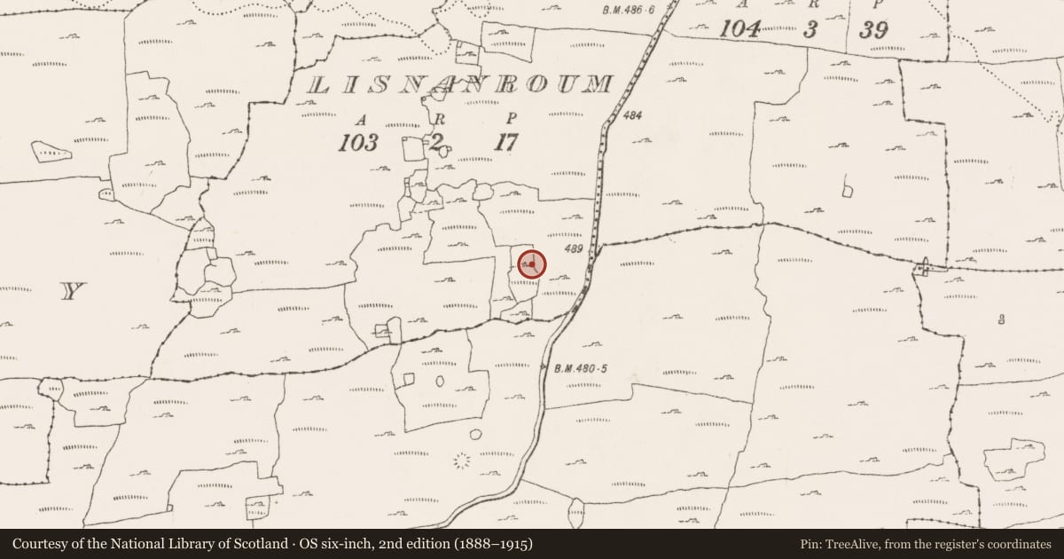 Ordnance Survey six-inch map, 2nd edition (1888–1915) covering the location of Hut site, Lisnanroum, County Clare, with a pin at the register's coordinates