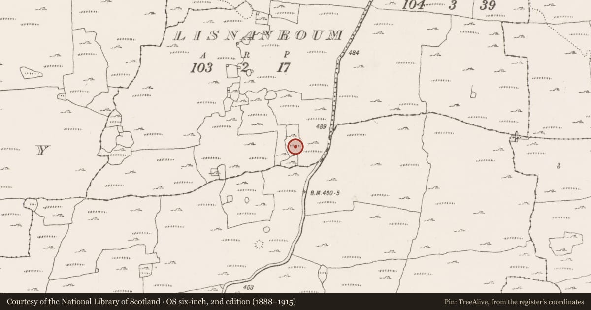 Ordnance Survey six-inch map, 2nd edition (1888–1915) covering the location of Enclosure, Lisnanroum, County Clare, with a pin at the register's coordinates