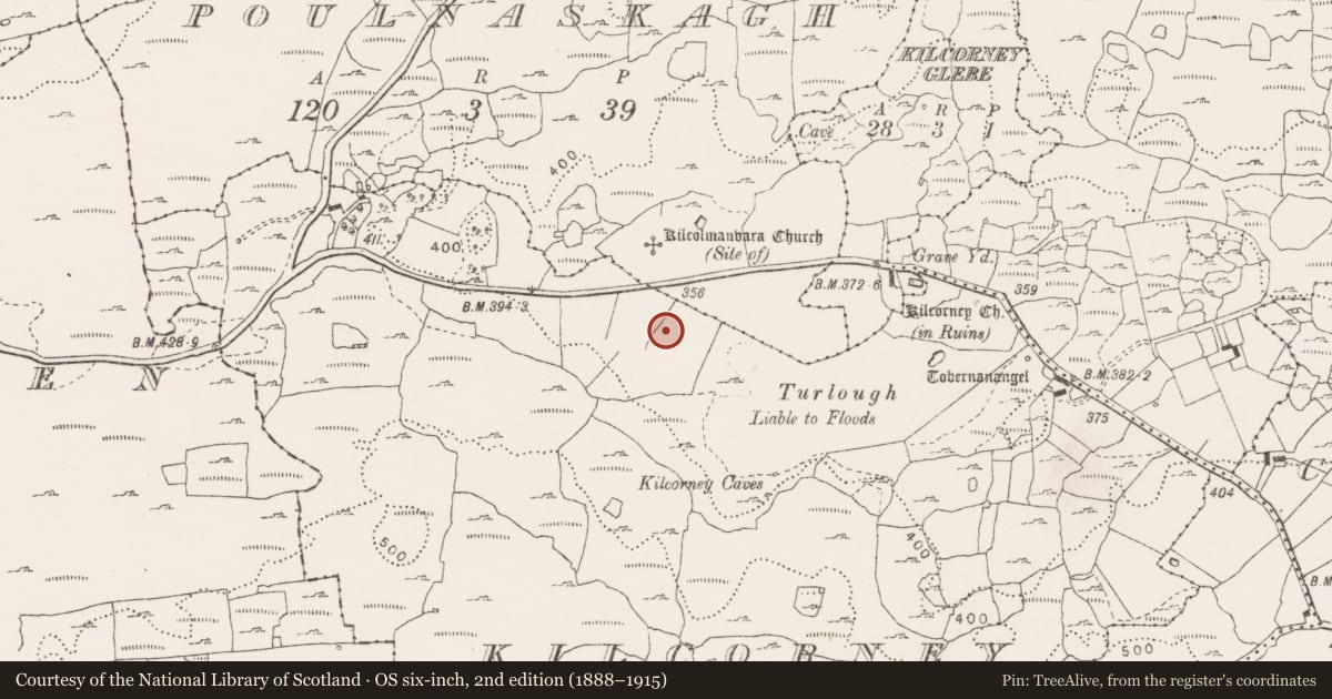 Ordnance Survey six-inch map, 2nd edition (1888–1915) covering the location of Mound, Kilcorney, County Clare, with a pin at the register's coordinates