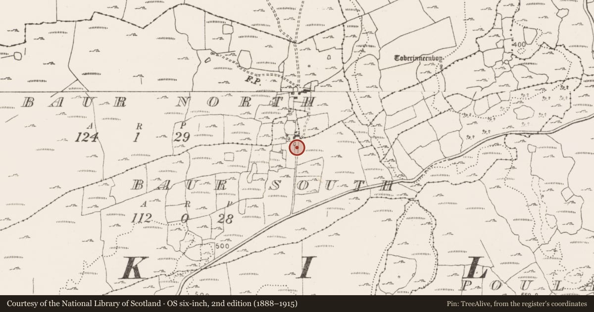 Ordnance Survey six-inch map, 2nd edition (1888–1915) covering the location of Megalithic tomb - wedge tomb, Baur South, County Clare, with a pin at the register's coordinates