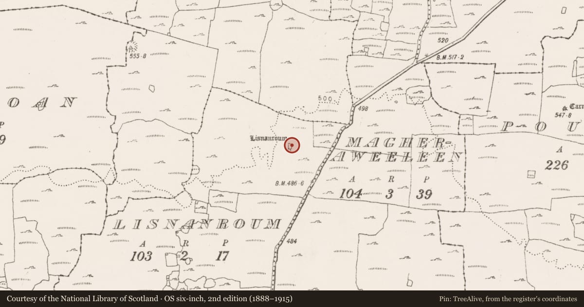 Ordnance Survey six-inch map, 2nd edition (1888–1915) covering the location of Enclosure, Lisnanroum, County Clare, with a pin at the register's coordinates