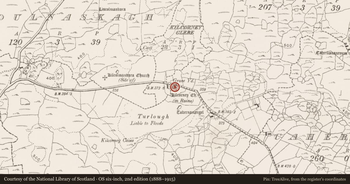 Ordnance Survey six-inch map, 2nd edition (1888–1915) covering the location of Church, Kilcorney Glebe, County Clare, with a pin at the register's coordinates