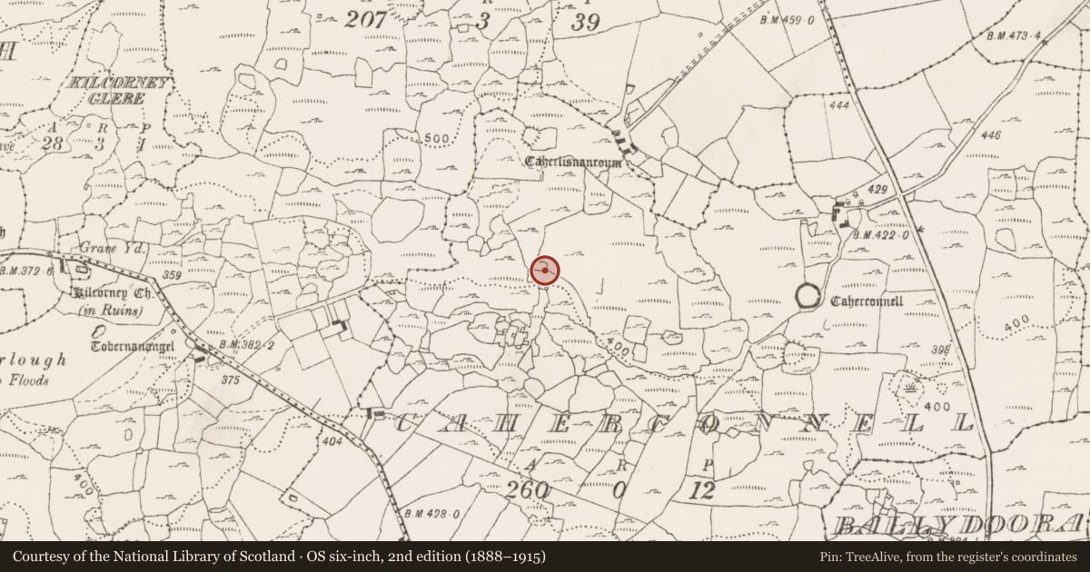 Ordnance Survey six-inch map, 2nd edition (1888–1915) covering the location of Field system, County Clare, with a pin at the register's coordinates
