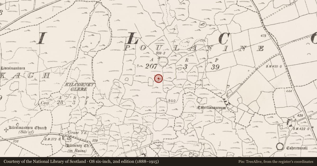 Ordnance Survey six-inch map, 2nd edition (1888–1915) covering the location of Enclosure, Poulanine, County Clare, with a pin at the register's coordinates