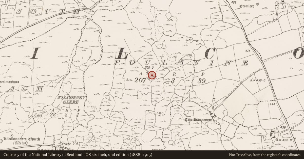 Ordnance Survey six-inch map, 2nd edition (1888–1915) covering the location of Ringfort - cashel, Poulanine, County Clare, with a pin at the register's coordinates