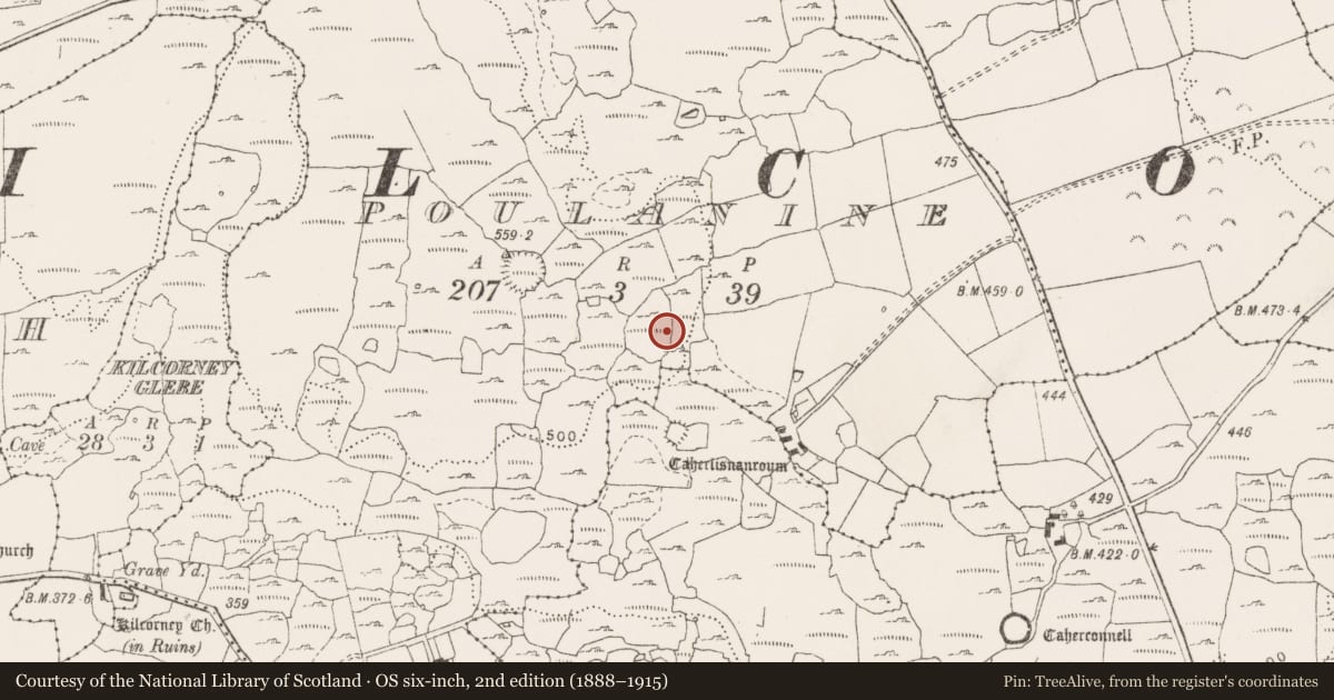 Ordnance Survey six-inch map, 2nd edition (1888–1915) covering the location of Ringfort - cashel, Poulanine, County Clare, with a pin at the register's coordinates