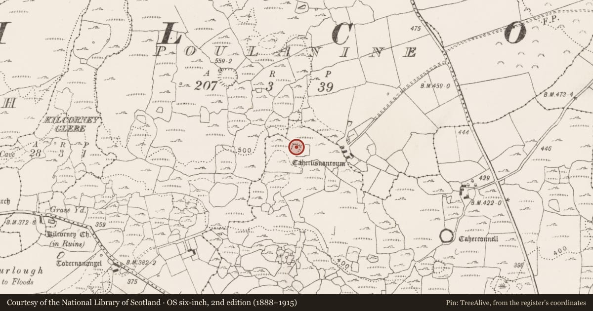 Ordnance Survey six-inch map, 2nd edition (1888–1915) covering the location of Ringfort - cashel, Caherconnell, County Clare, with a pin at the register's coordinates