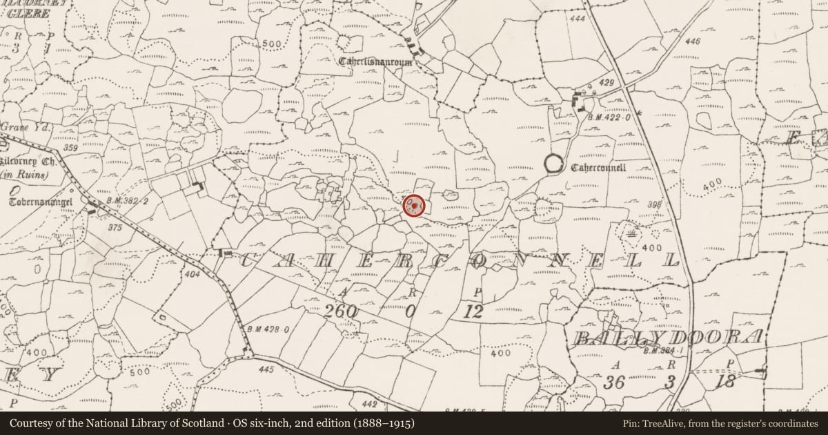 Ordnance Survey six-inch map, 2nd edition (1888–1915) covering the location of Ringfort - cashel, Caherconnell, County Clare, with a pin at the register's coordinates