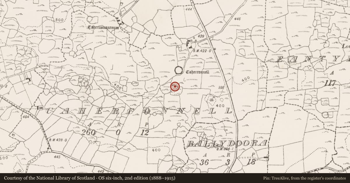 Ordnance Survey six-inch map, 2nd edition (1888–1915) covering the location of Ringfort - cashel, Caherconnell, County Clare, with a pin at the register's coordinates