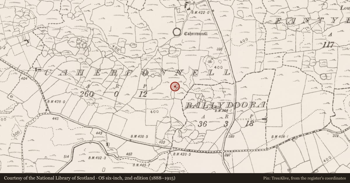 Ordnance Survey six-inch map, 2nd edition (1888–1915) covering the location of Ringfort - cashel, Caherconnell, County Clare, with a pin at the register's coordinates