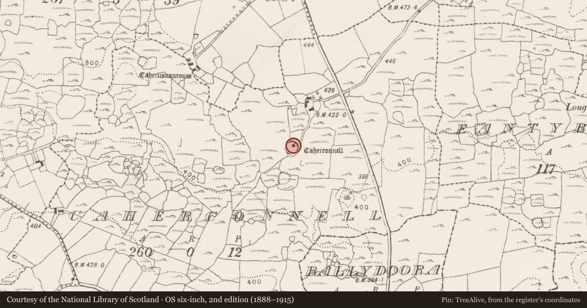 Ordnance Survey six-inch map, 2nd edition (1888–1915) covering the location of Ringfort - cashel, Caherconnell, County Clare, with a pin at the register's coordinates