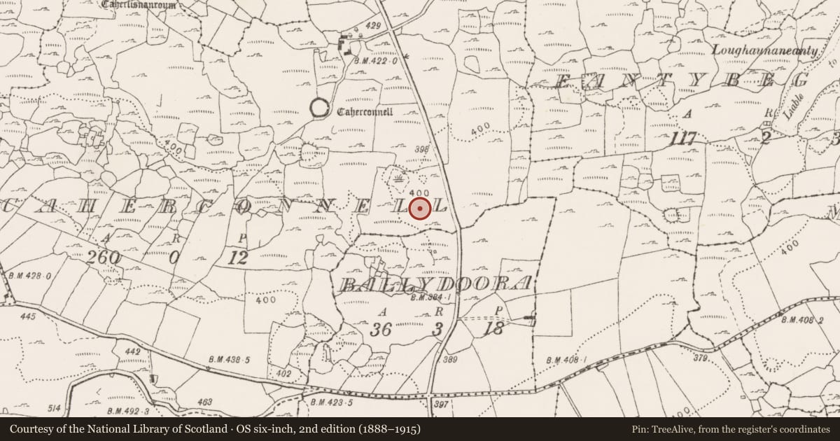 Ordnance Survey six-inch map, 2nd edition (1888–1915) covering the location of Enclosure, Caherconnell, County Clare, with a pin at the register's coordinates