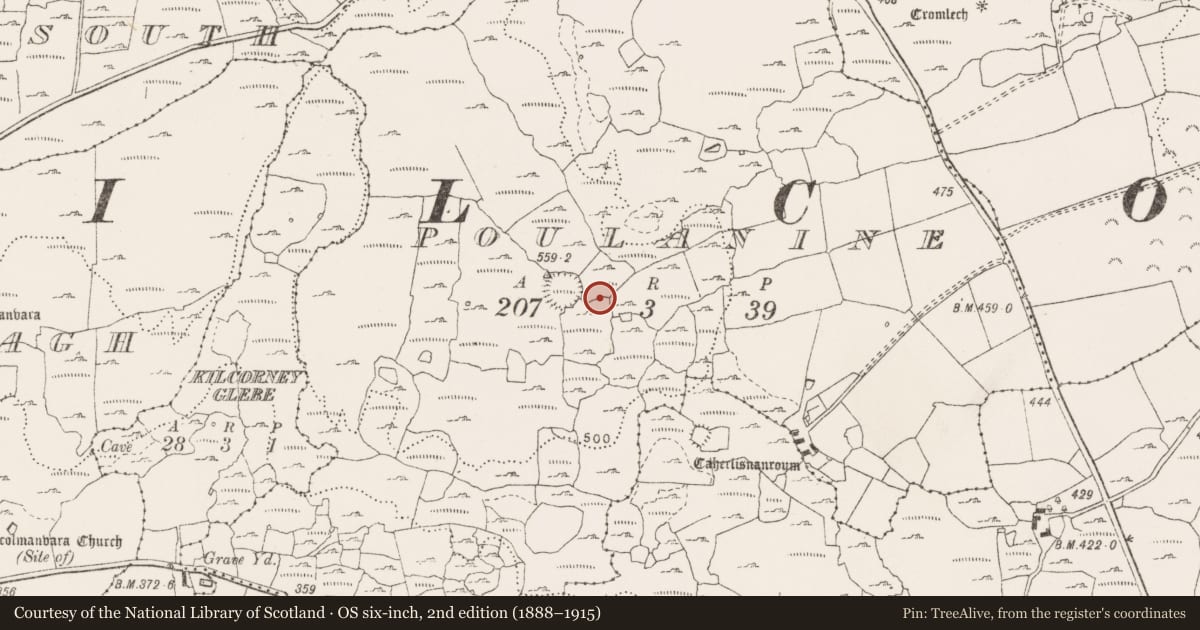 Ordnance Survey six-inch map, 2nd edition (1888–1915) covering the location of Cairn - unclassified, Poulanine, County Clare, with a pin at the register's coordinates