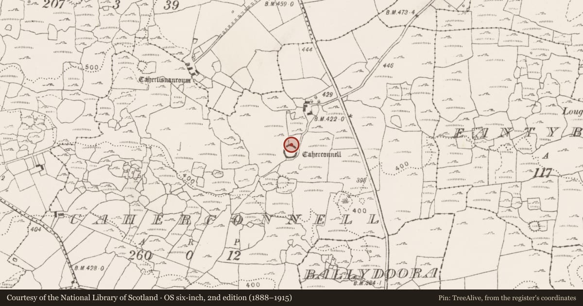Ordnance Survey six-inch map, 2nd edition (1888–1915) covering the location of House - medieval, Caherconnell, County Clare, with a pin at the register's coordinates