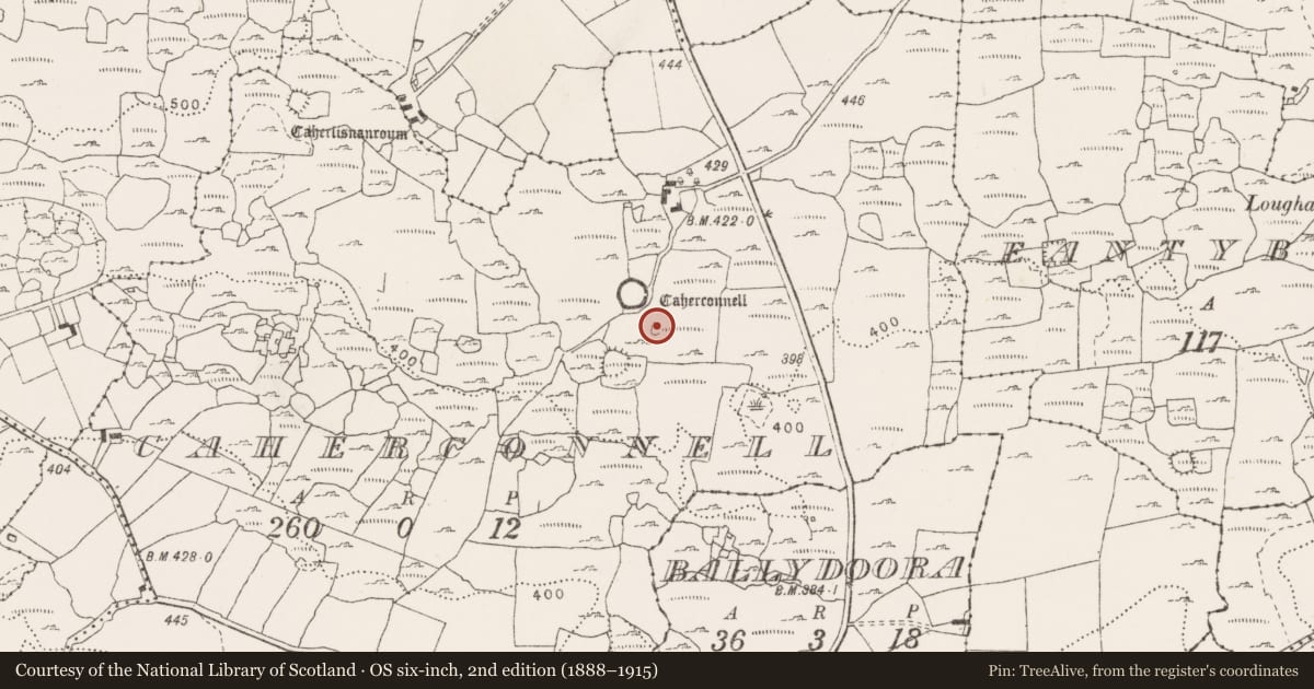 Ordnance Survey six-inch map, 2nd edition (1888–1915) covering the location of House - Bronze Age, Caherconnell, County Clare, with a pin at the register's coordinates