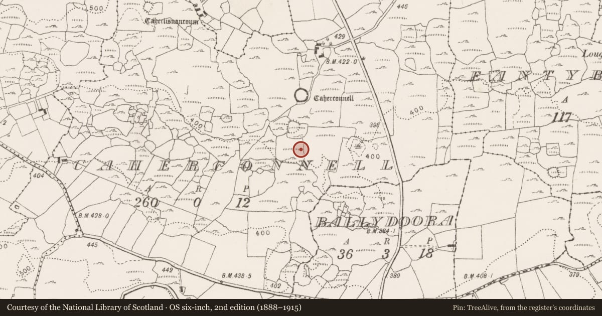 Ordnance Survey six-inch map, 2nd edition (1888–1915) covering the location of Ringfort - cashel, Caherconnell, County Clare, with a pin at the register's coordinates