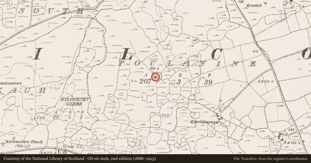 Ordnance Survey six-inch map, 2nd edition (1888–1915) covering the location of Hut site, Poulanine, County Clare, with a pin at the register's coordinates