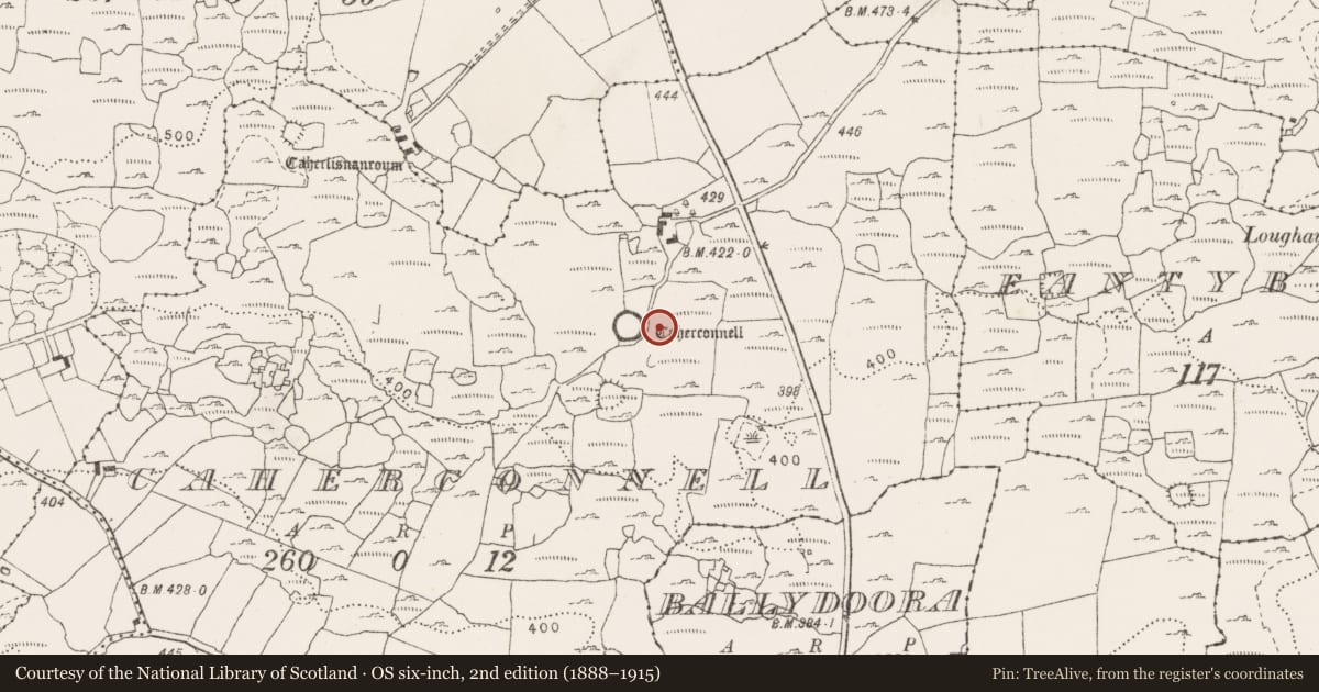 Ordnance Survey six-inch map, 2nd edition (1888–1915) covering the location of Platform, Caherconnell, County Clare, with a pin at the register's coordinates