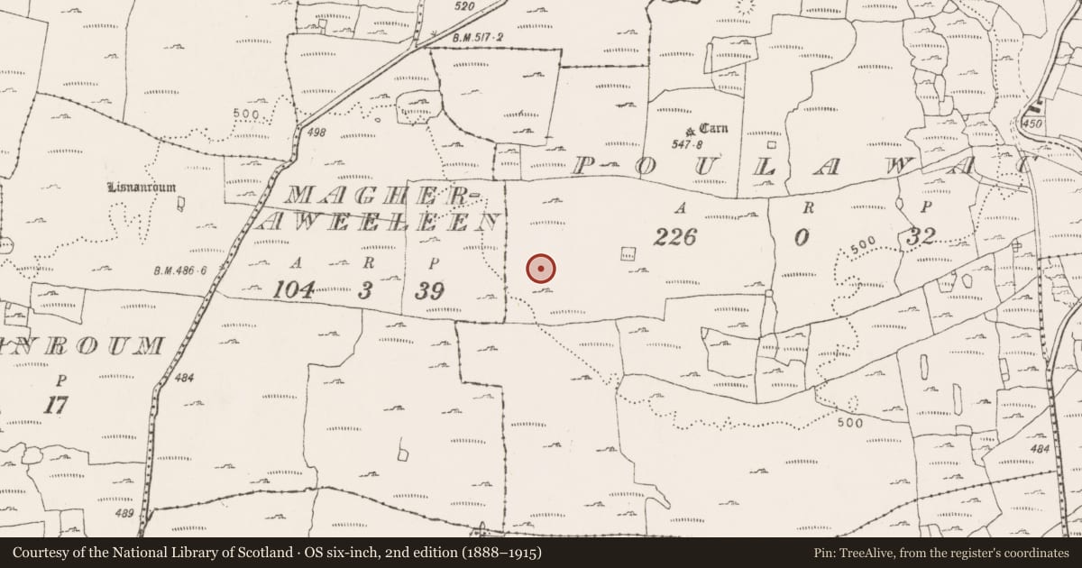 Ordnance Survey six-inch map, 2nd edition (1888–1915) covering the location of Enclosure, Poulawack, County Clare, with a pin at the register's coordinates