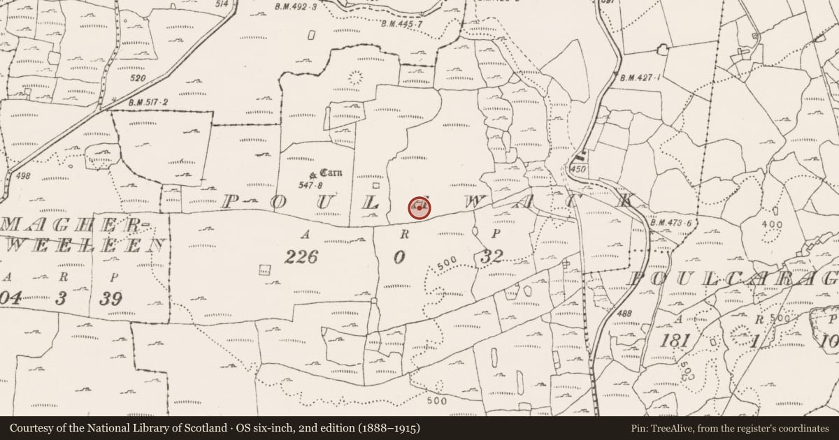 Ordnance Survey six-inch map, 2nd edition (1888–1915) covering the location of Field system, County Clare, with a pin at the register's coordinates
