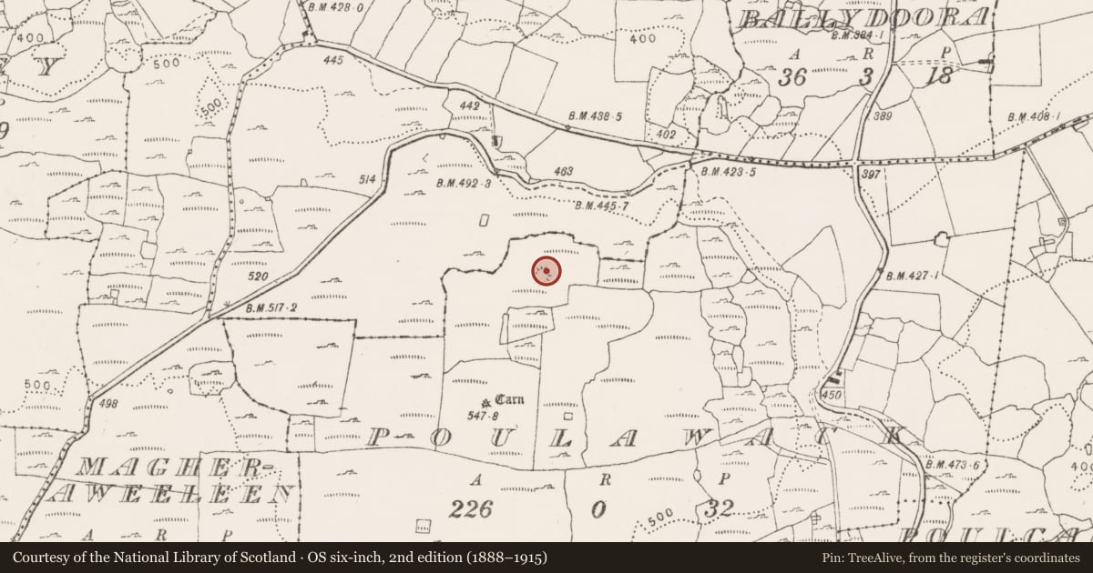 Ordnance Survey six-inch map, 2nd edition (1888–1915) covering the location of Ringfort - cashel, Poulawack, County Clare, with a pin at the register's coordinates