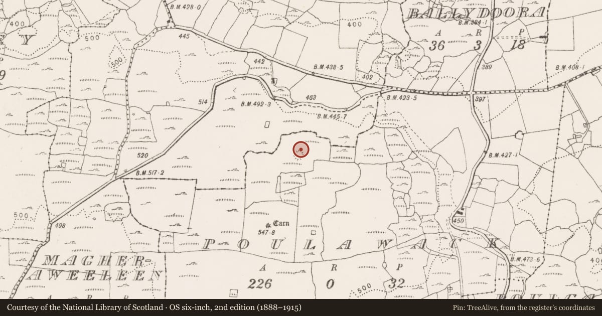 Ordnance Survey six-inch map, 2nd edition (1888–1915) covering the location of Souterrain, Poulawack, County Clare, with a pin at the register's coordinates
