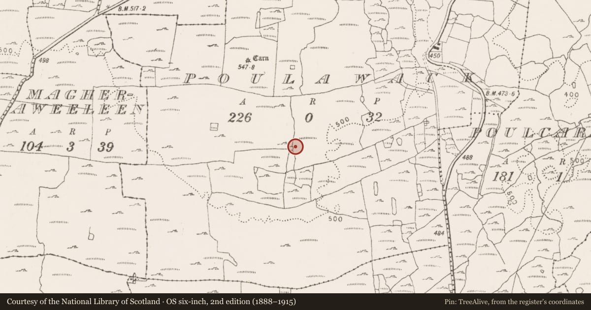 Ordnance Survey six-inch map, 2nd edition (1888–1915) covering the location of Enclosure, Poulawack, County Clare, with a pin at the register's coordinates