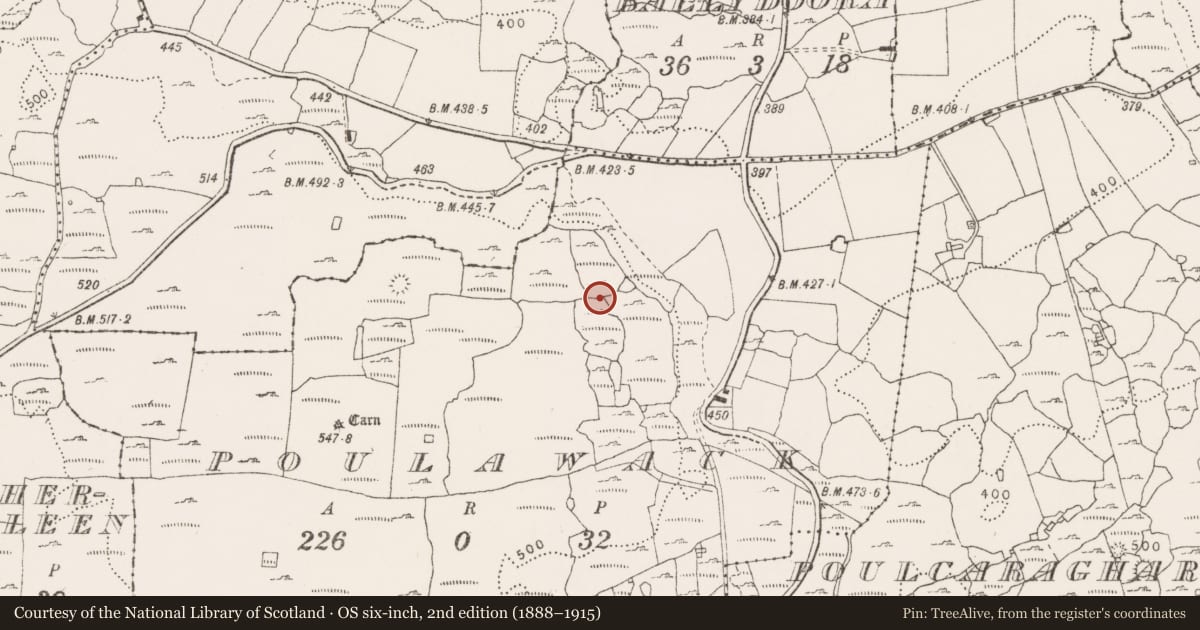 Ordnance Survey six-inch map, 2nd edition (1888–1915) covering the location of Cairn - unclassified, Poulawack, County Clare, with a pin at the register's coordinates