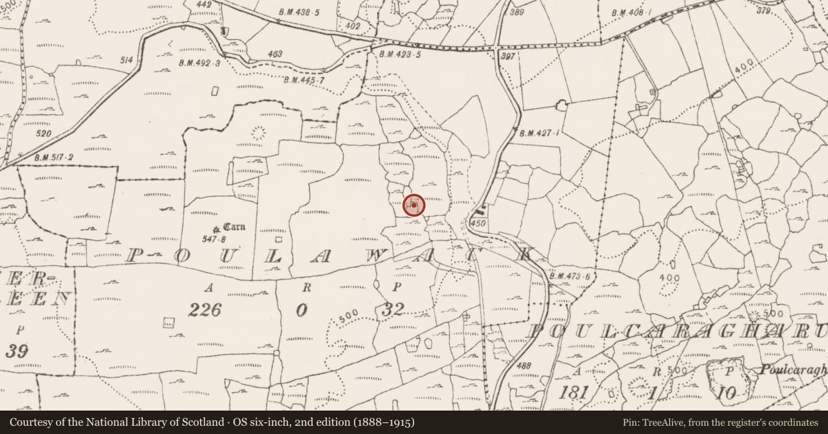 Ordnance Survey six-inch map, 2nd edition (1888–1915) covering the location of House - indeterminate date, Poulawack, County Clare, with a pin at the register's coordinates