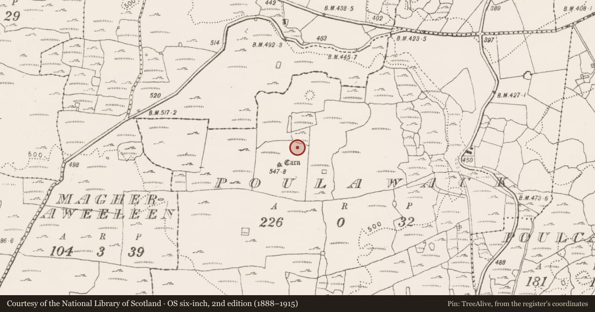 Ordnance Survey six-inch map, 2nd edition (1888–1915) covering the location of Cairn - unclassified, Poulawack, County Clare, with a pin at the register's coordinates