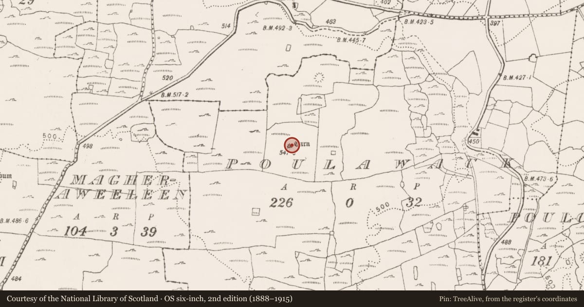 Ordnance Survey six-inch map, 2nd edition (1888–1915) covering the location of Cist, Poulawack, County Clare, with a pin at the register's coordinates