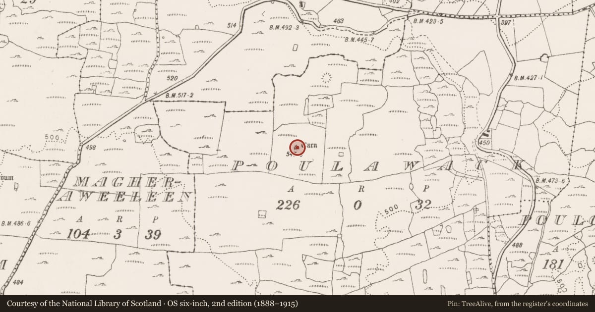Ordnance Survey six-inch map, 2nd edition (1888–1915) covering the location of Cist, Poulawack, County Clare, with a pin at the register's coordinates